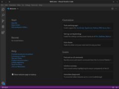 Arch Linux - Visual Studio Code（VSCode）